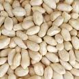 blanched peanuts