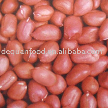 2010 crop Peanut kernels