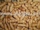 Peanuts