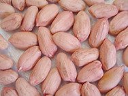 Long   shape   peanut  kernels   28/32