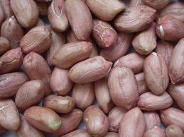 Long shape  peanut kernels 34/38