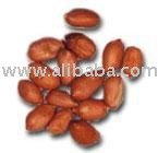 Spanish  Peanuts  Raw 16 oz  Bag 
