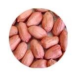 Vietnam Groundnut Kernels