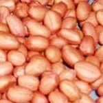 groundnut  kernels (peanuts)