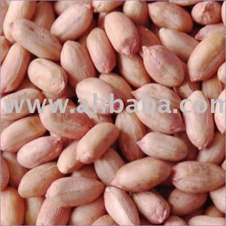 shelled Groundnut kernels