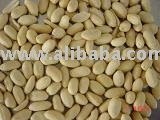 blanched peanut