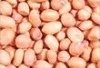 Groundnut Oil, Groundnut seed, Groundnut Cack, Roasted Groundnut