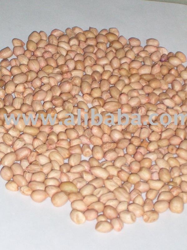 African Peanuts from South Africa Gauteng , African Peanuts manufactory ...