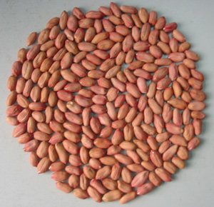 Peanut Kernels