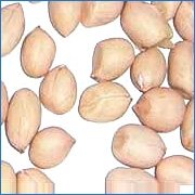 Ground Nut Kernels