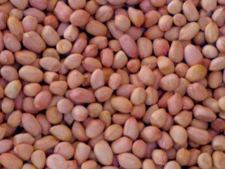 Blanched peanut kernels