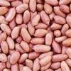 Ground Nut