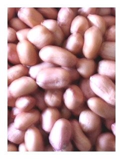 Vietnam Groundnut Kernel (Peanut)