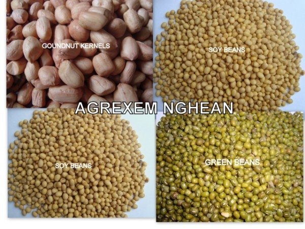 cassava native, peanut kernels, soybean, green bean