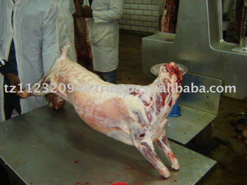 GOAT CARCASS