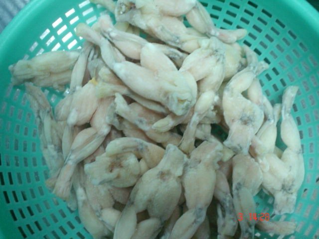 FROZEN FROG LEG,Vietnam SEASPIMEX VIETNAM price supplier - 21food