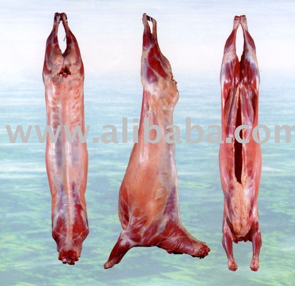 Halal Chilled Lamb / Goat Meat Carcass