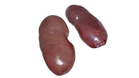  Frozen   Pork   Kidney s