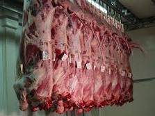 Exported  Frozen   beef  for sale at a gooid  price 