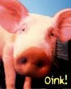  Frozen   pig   meat 