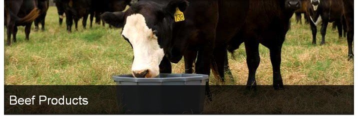 Evergreen Mills Beef