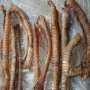 Beef Dried Trachea,Tendons,Bully Stick Etc