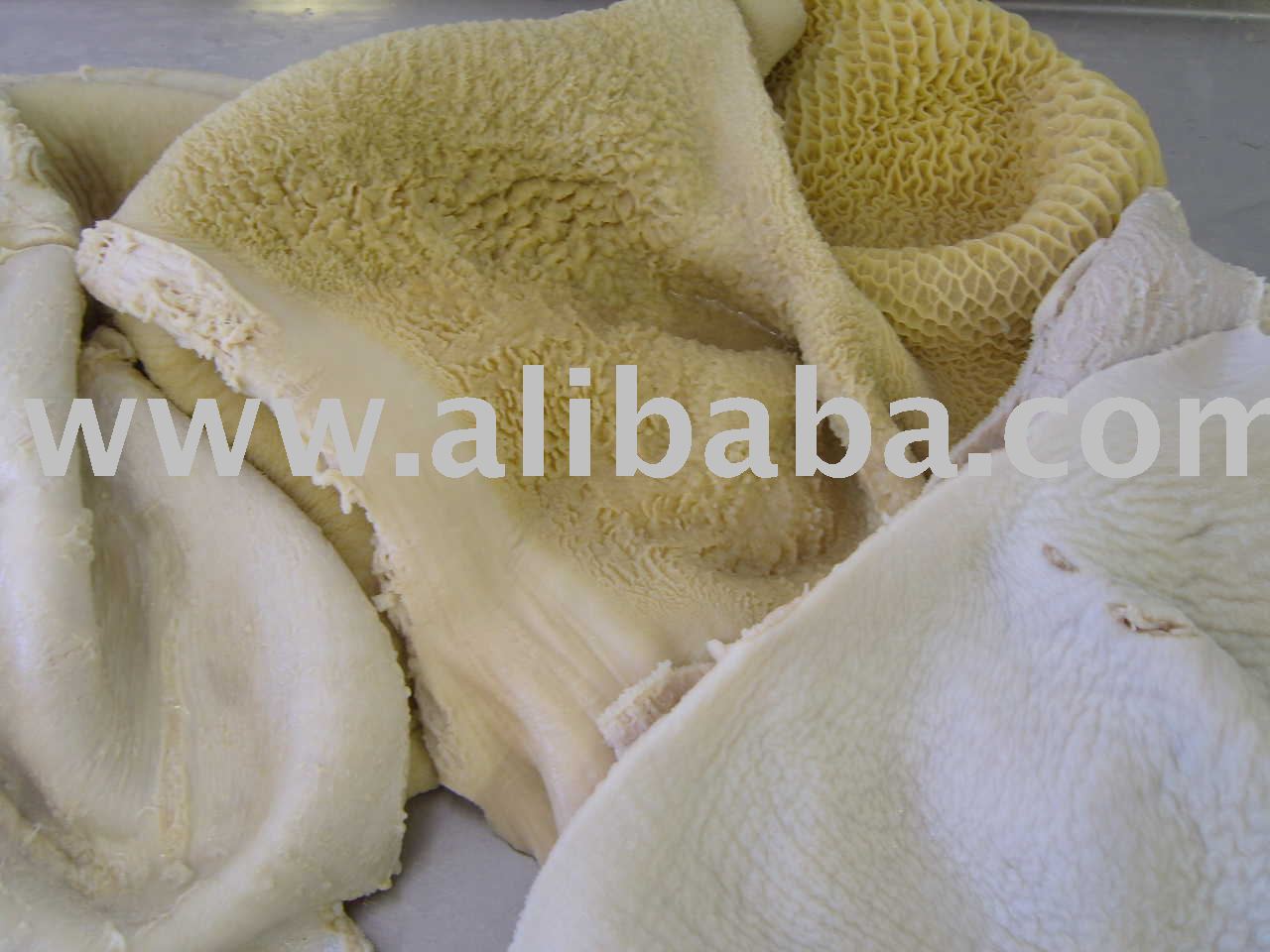 Beef Tripe