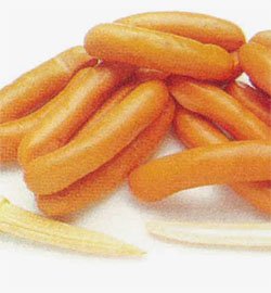 Wiener