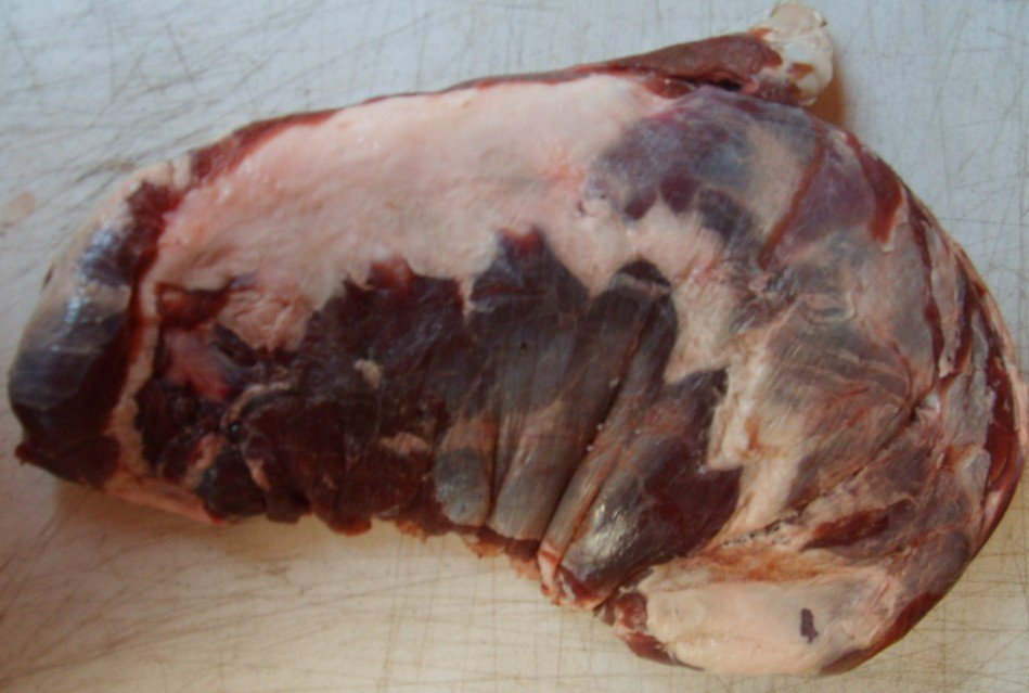 Deer`s Rib