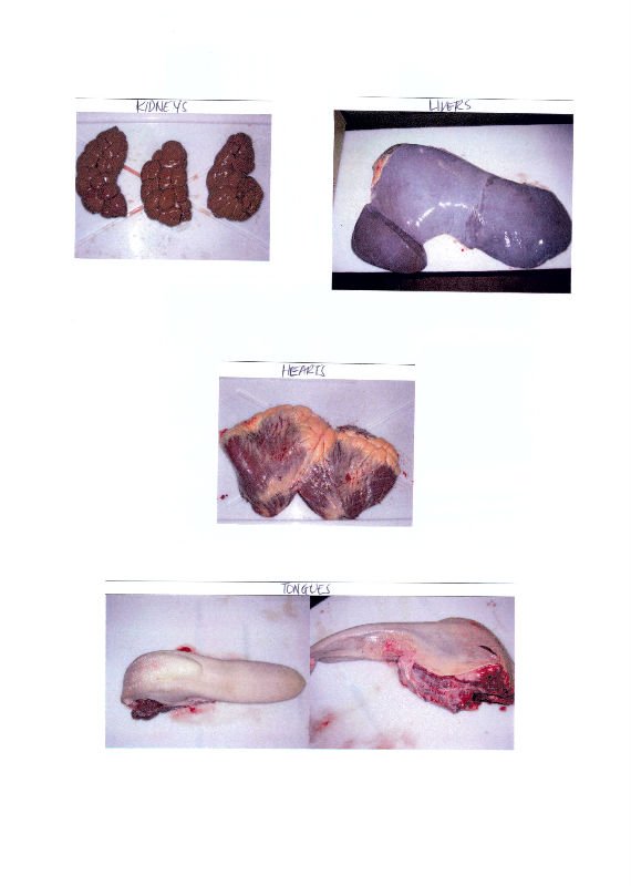 Beef Offals