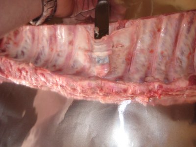 meat