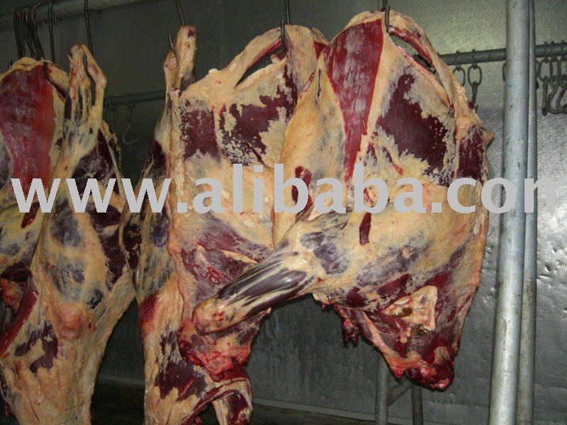  MEAT   BOVINE  BONE-IN CARCASS
