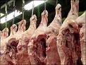 HALAL SLAUGHTER FROZEN MEAT, LAMB BEEF