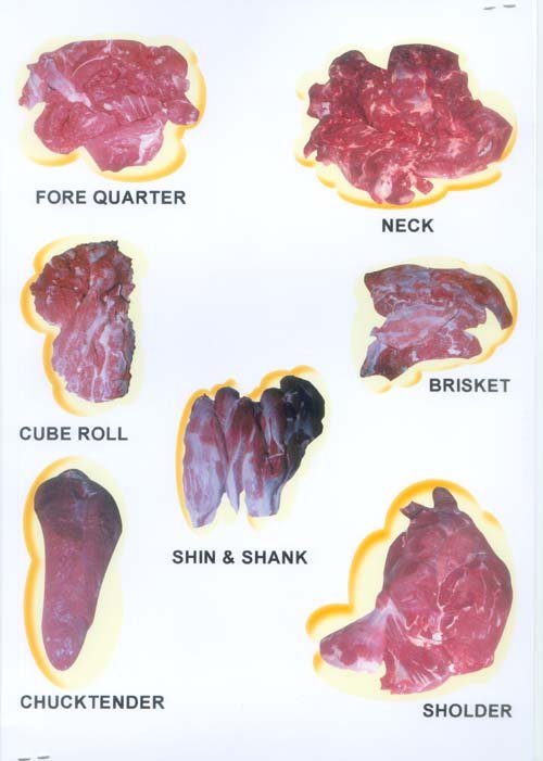 forequarter suppliers,exporters on 21food.com