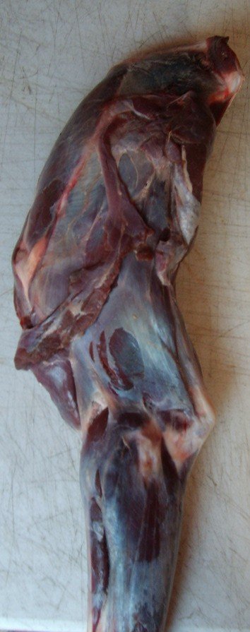 Deer Leg
