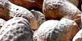 raw and roasted peanuts kernels in shell