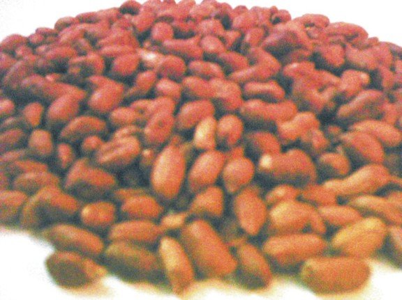  Peanut   Kernals 