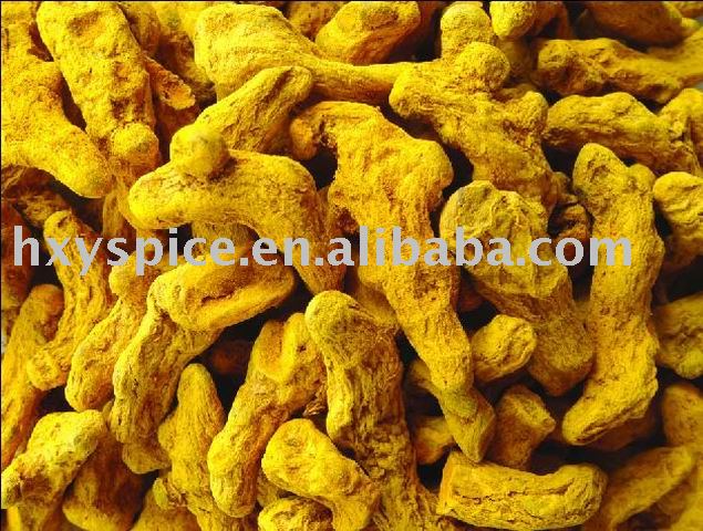 Turmeric finger dried