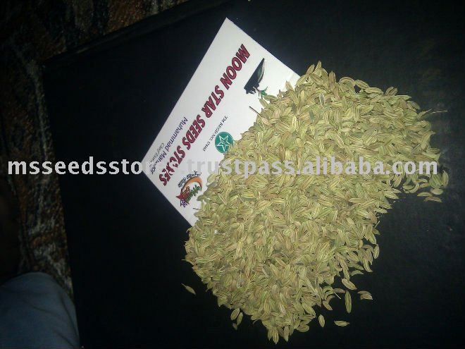 Fennel Seeds