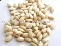 ORGANIC SWEET BROWN RICE