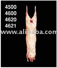 Lamb