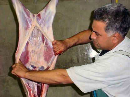 Fresh goat Halal Meat Carcass