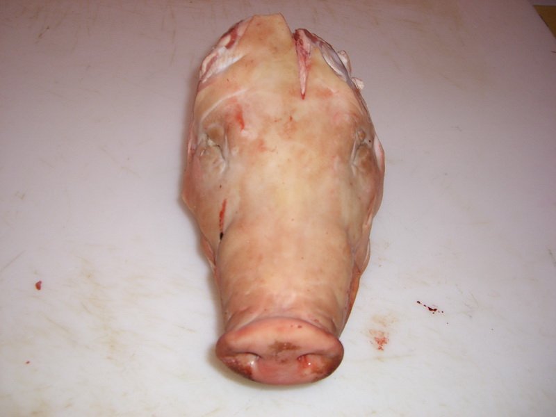 FROZEN PORK HEADS without cheeks and without ears