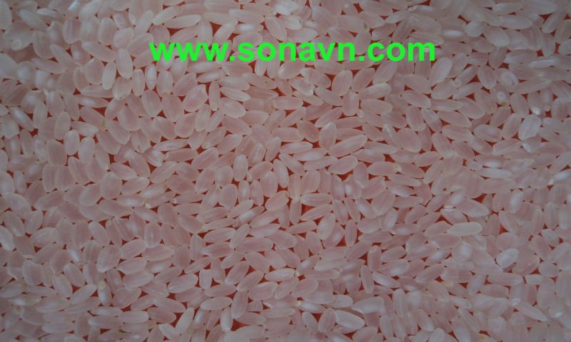 Round rice_ calrose rice _ short rice _ 5% broken_ High quality
