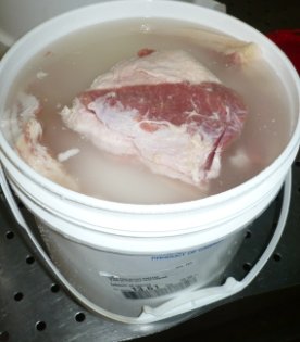 SALTED PORK BELLIES SKINLESS