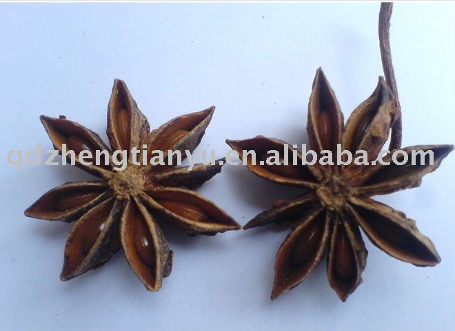 star aniseeds