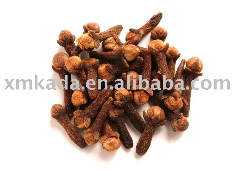 Clove