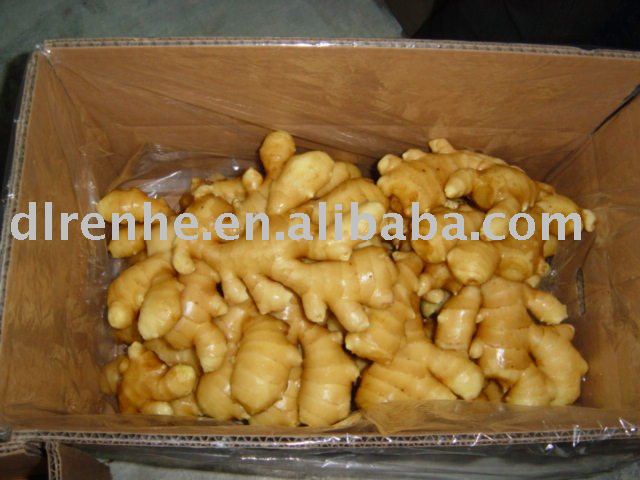 China organic fresh ginger
