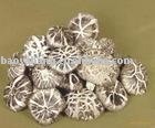 Mushroom vegetable refined