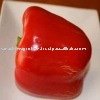 RED CAPSICUM